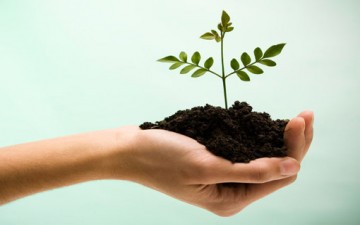 الشباب والعمل التطوّعي